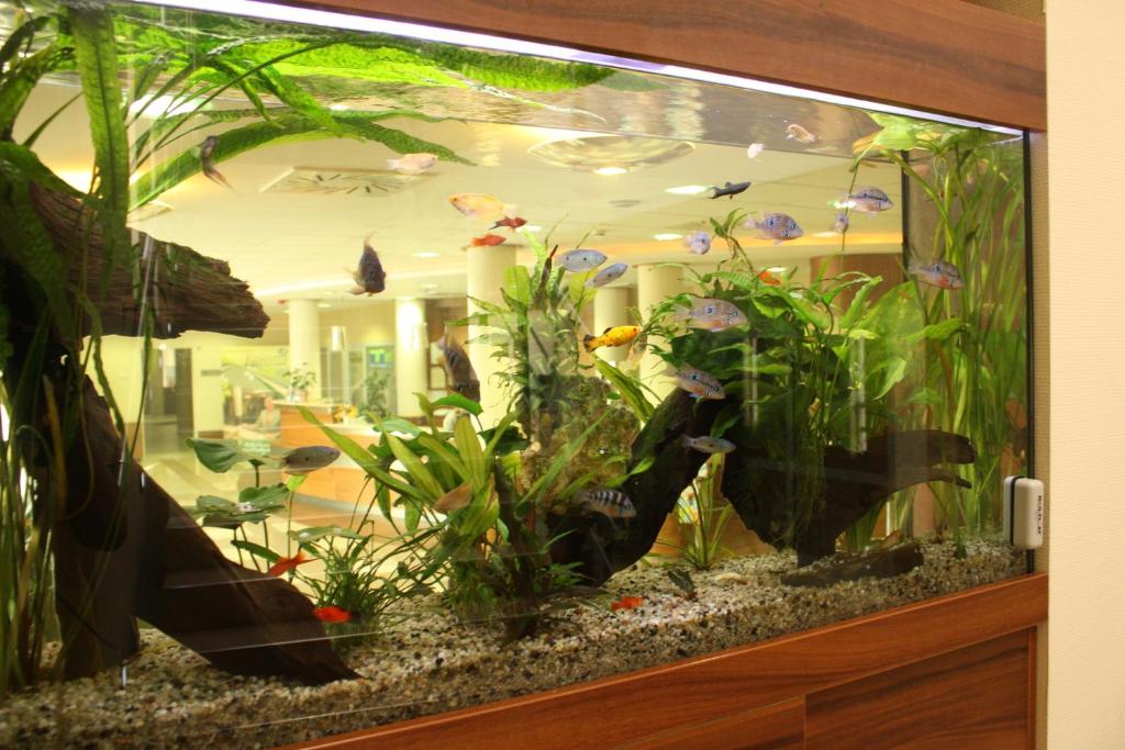 Zdjęcie z galerii obiektu Hotel Famulus w Győr