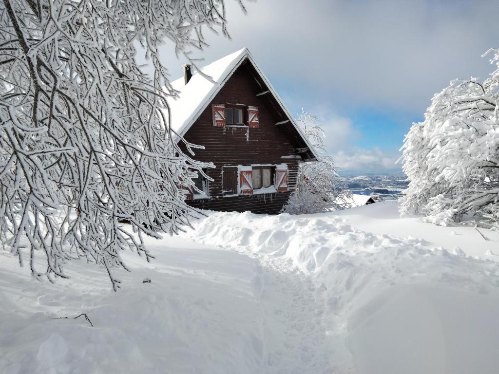 a log cabin in the snow with snow covered trees at La cabane au pied des pistes in Chastreix
