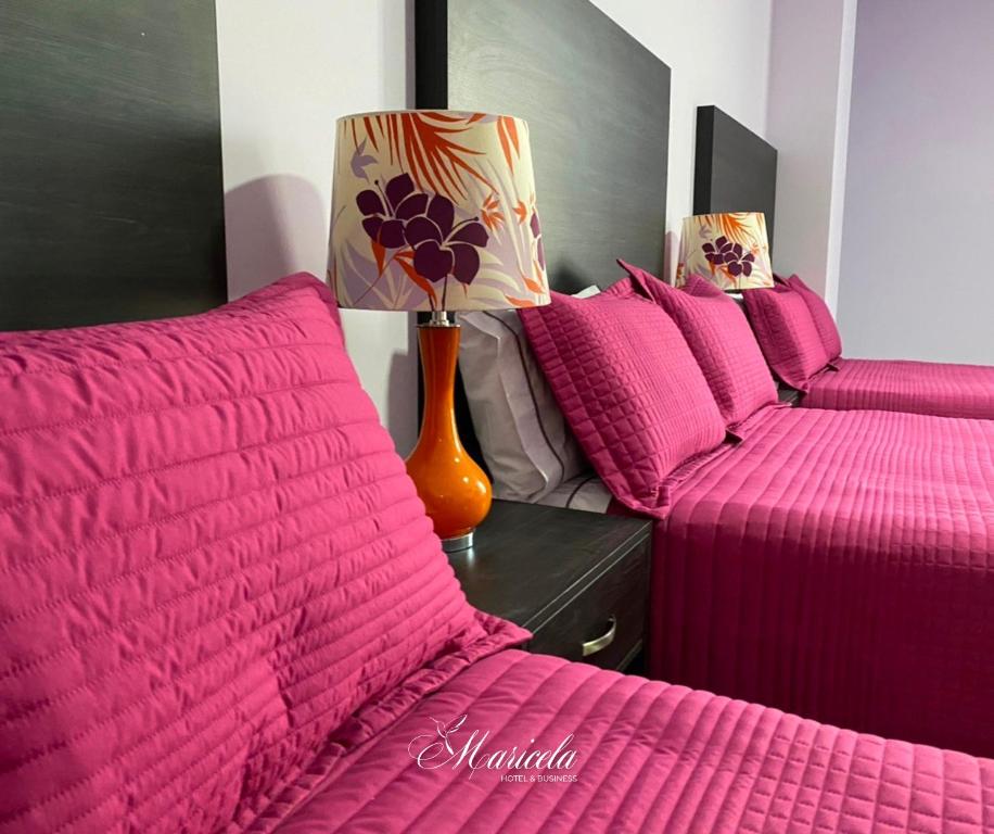Posezení v ubytování Hotel Maricela