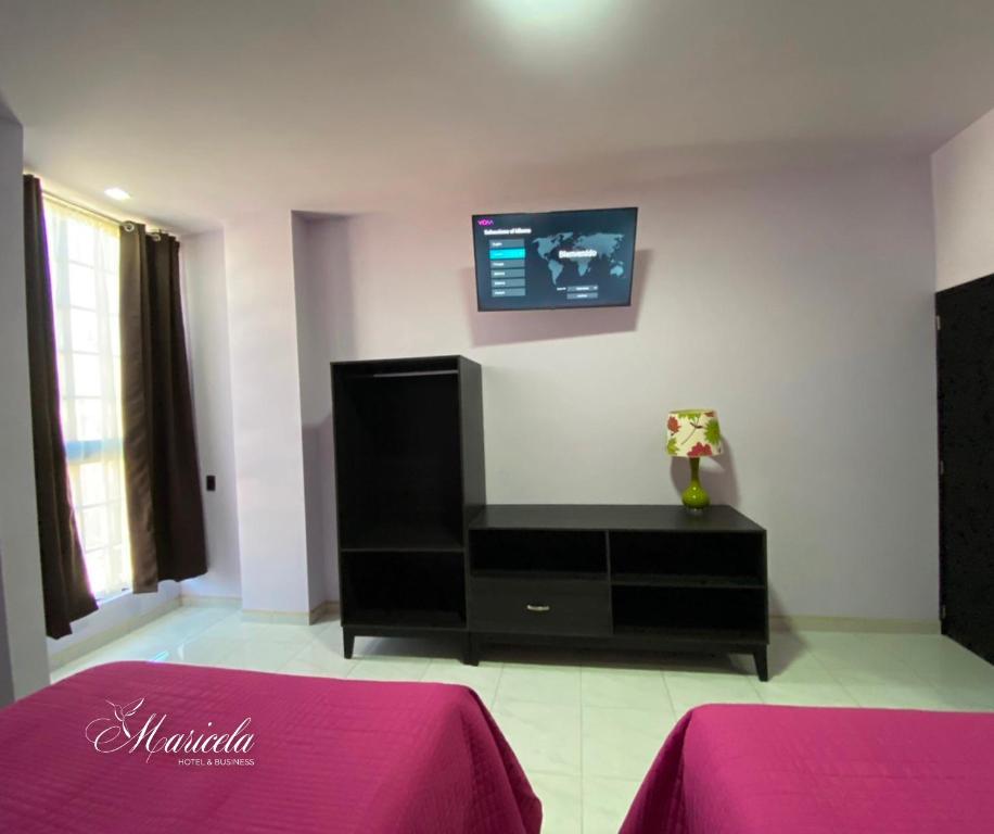TV a/nebo společenská místnost v ubytování Hotel Maricela