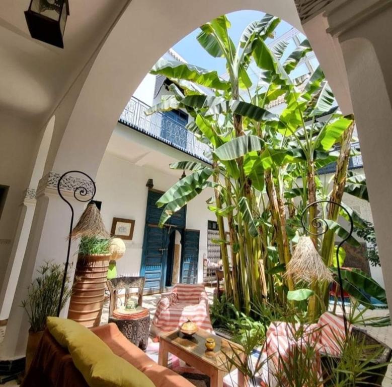 Zahrada ubytování Riad Aloes & Spa