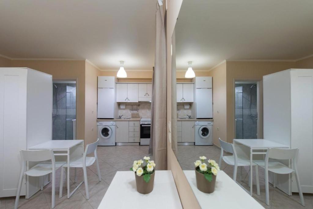 Kuchyňa alebo kuchynka v ubytovaní Silencio Villas