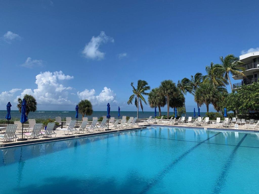a swimming pool with chairs and palm trees and the ocean at Leaward Isle Island Retreat in Key West