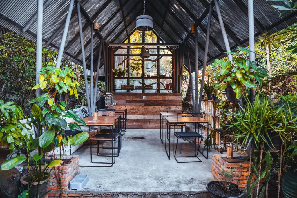 Zahrada ubytování Warehouse Hostel Koh Tao