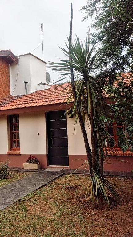 una pequeña palmera frente a una casa en •JADE• Casas de alquiler en Los Molles