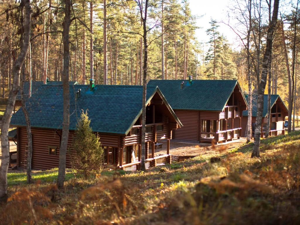 a log cabin with a green roof in the woods at Gromovo Park in Losevo