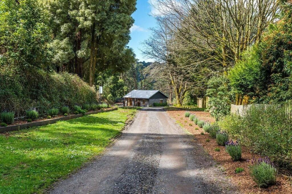 Cabin in Mount, Mount Macedon, Mount Macedon (updated prices 2024)