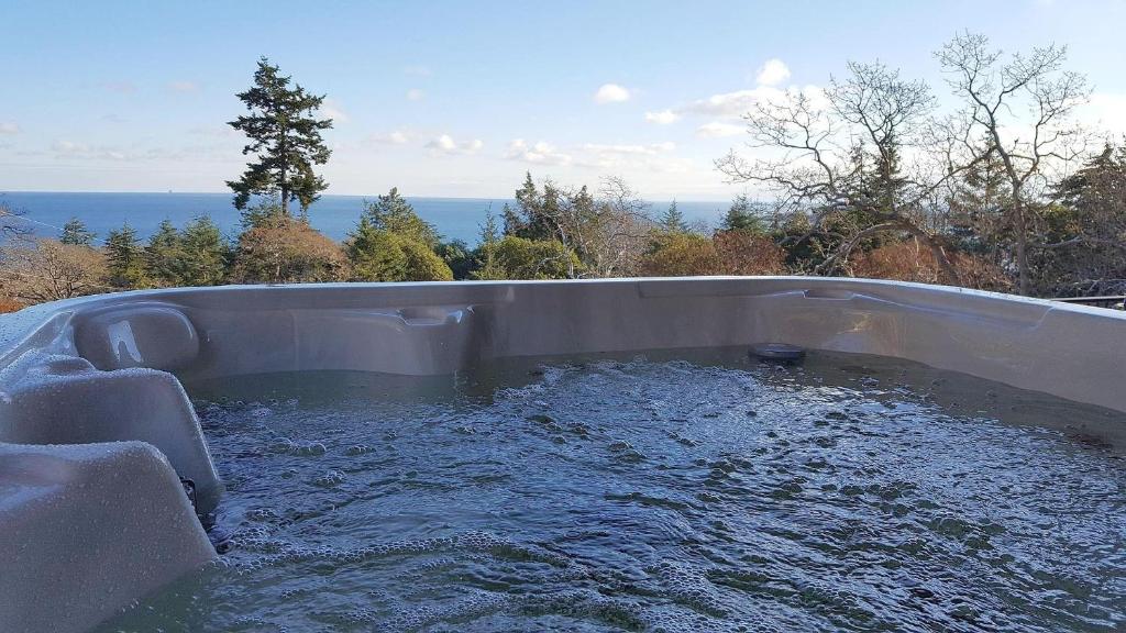 una bañera llena de agua con el océano en el fondo en Arbutus Hill, en Victoria