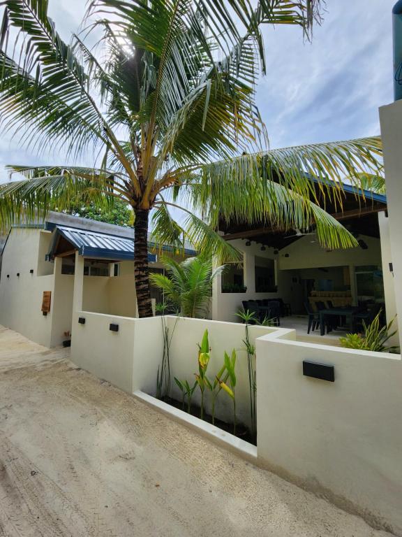 a palm tree in front of a house at Dhigurah Dhonveli Boutique in Dhigurah