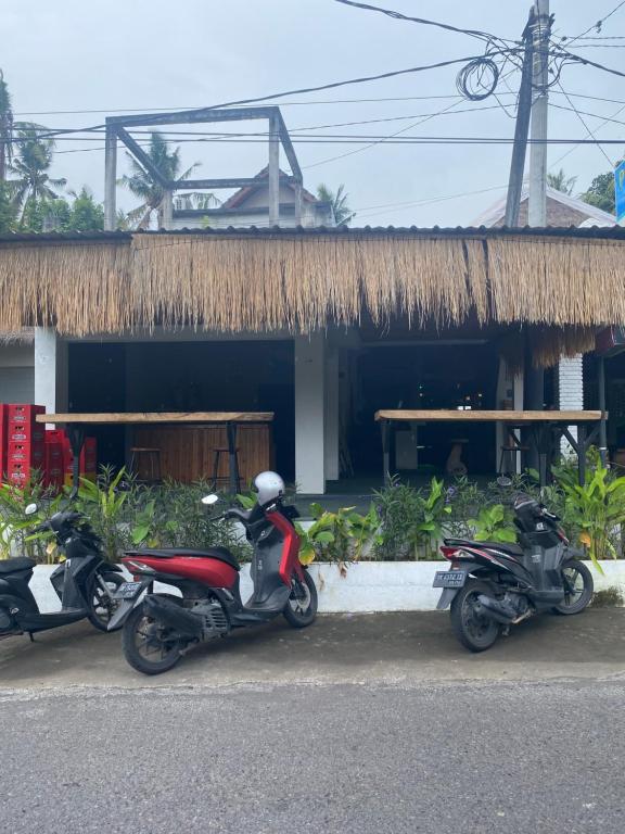 Fotografie z fotogalerie ubytování PACA'S Reggae Bar & Hostel v destinaci Ambat