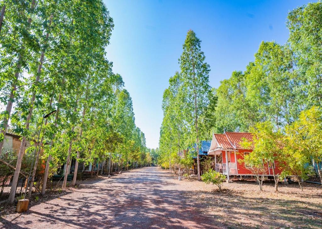 uma estrada ladeada de árvores e uma casa vermelha em Baan Pak Wangthong em Ban Dung