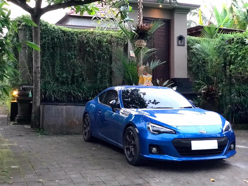 Ubud Paradise Villa - 16