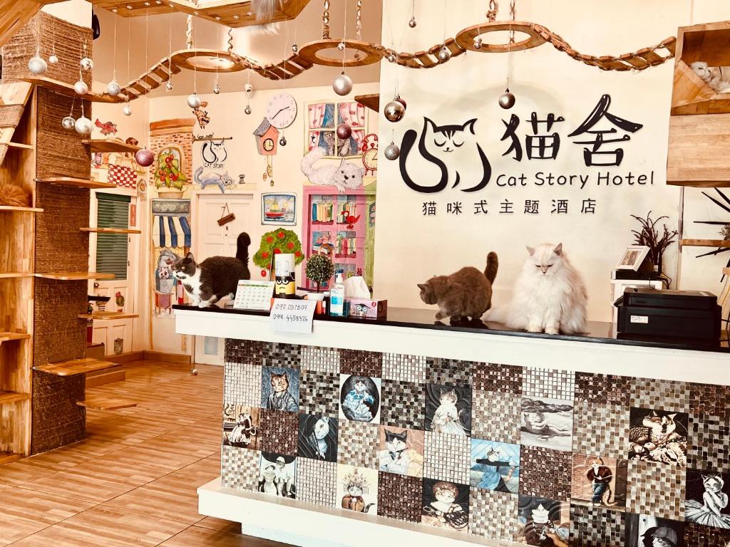 una tienda con gatos sentados en un estante en Cat Story Hotel, en Patong Beach