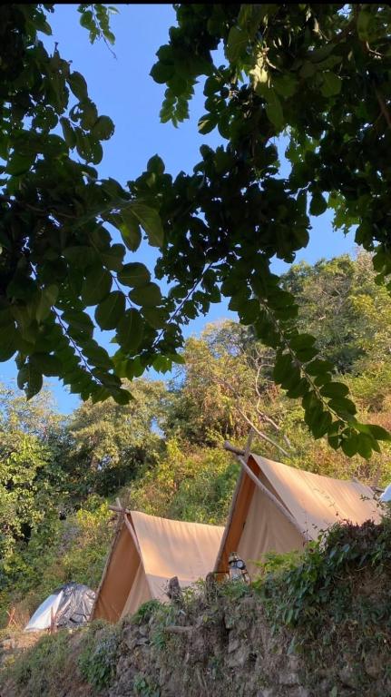 Fotografie z fotogalerie ubytování Neerville Waterfall Glamping- Neer waterfall v destinaci Shivpuri