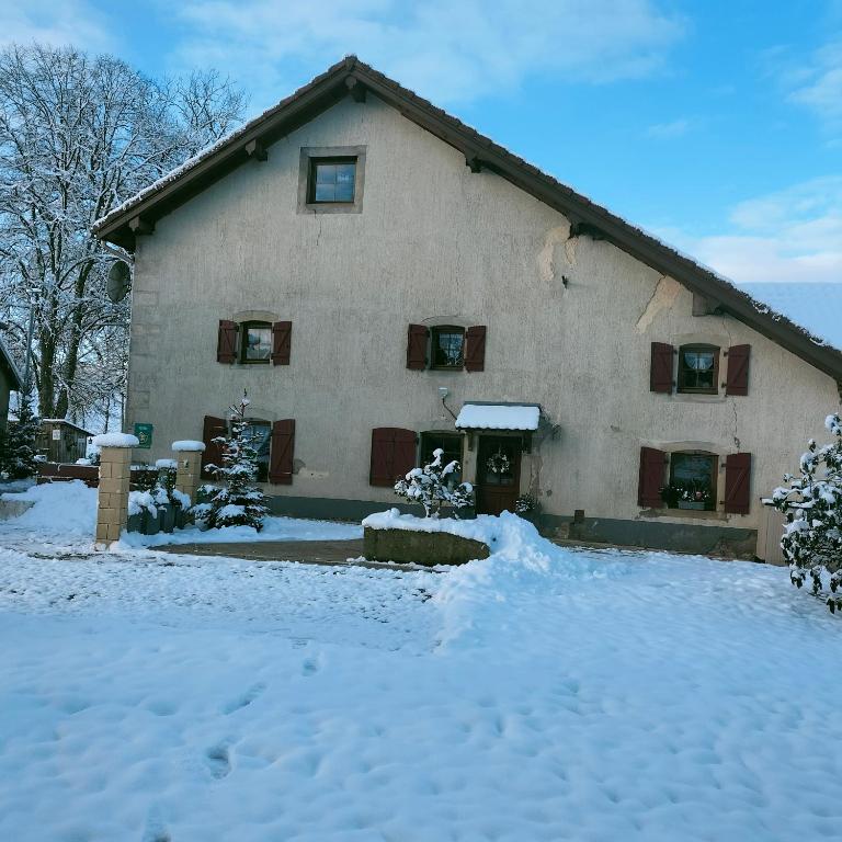 ein Haus mit Schnee davor in der Unterkunft Gîte Belle Fleur 6 personnes- Vosges in Saint-Nabord