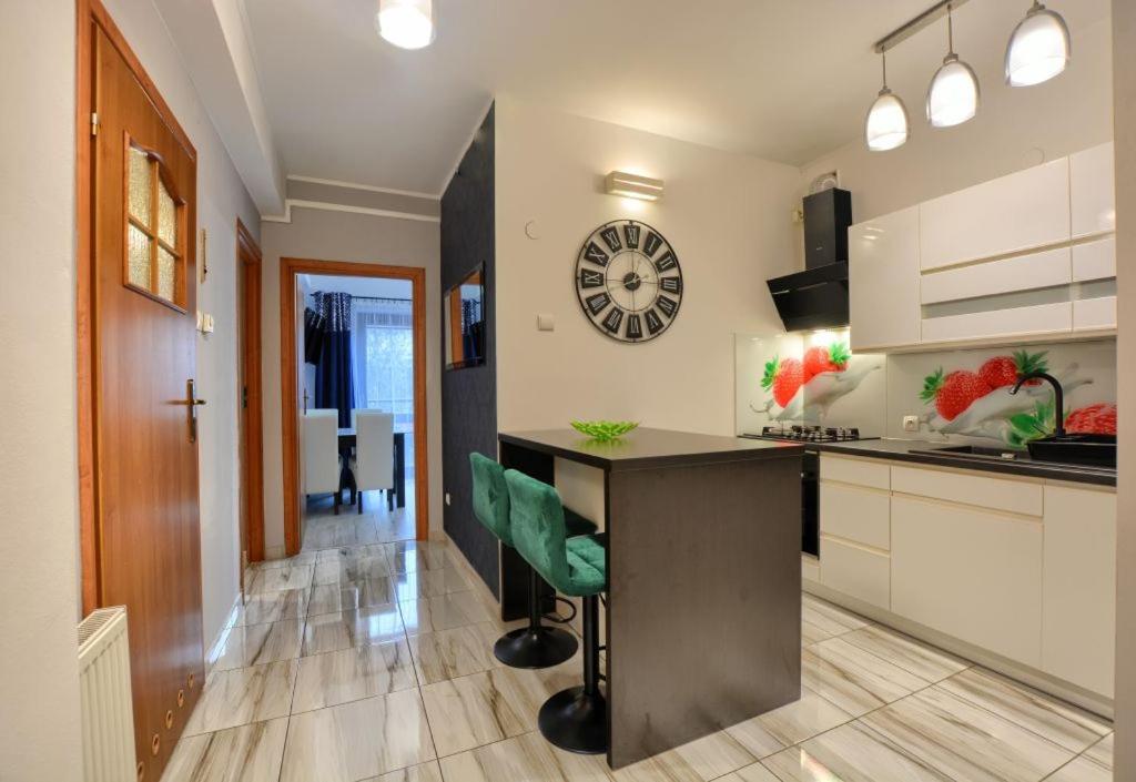 Kuchyňa alebo kuchynka v ubytovaní Art Apartament Krynica Zdrój Centrum