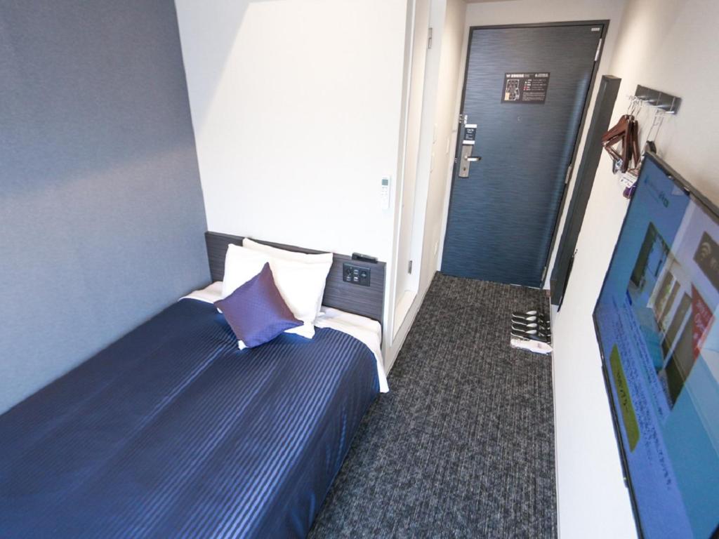 TV a/nebo společenská místnost v ubytování HOTEL LiVEMAX Akasaka