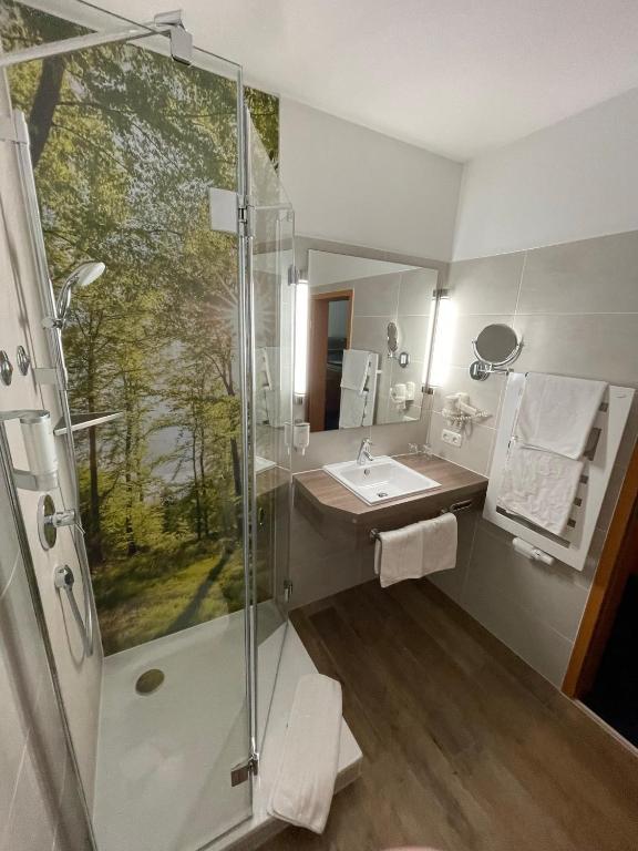 Vannituba majutusasutuses Hotel-Gasthof Hüttensteinach