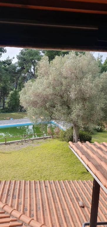 A garden outside nikol villa elani