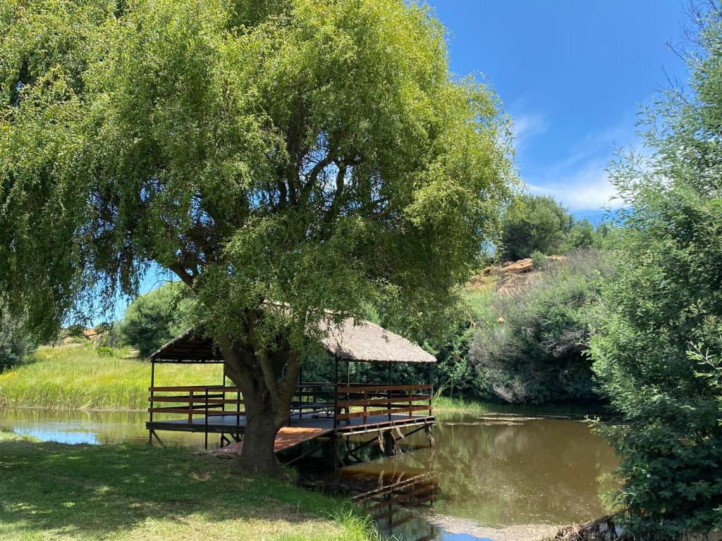 a tree with a gazebo next to a river at Echo Valley Guest Farm in Breyten