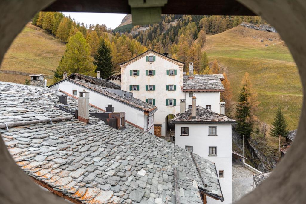 Příroda nedaleko apartmánu