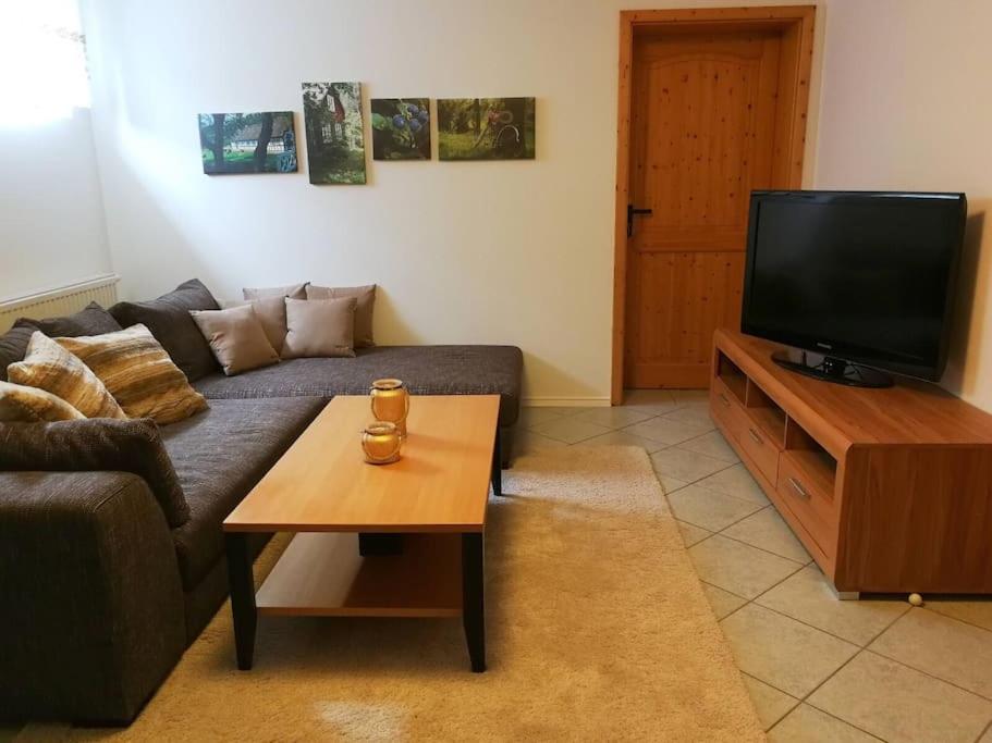 TV a/nebo společenská místnost v ubytování Traumhaft großes, sonniges Haus in Wien Nähe