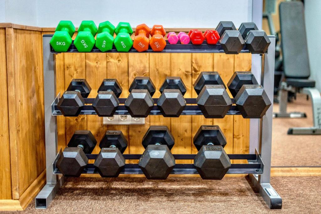 Fitness centrum a/nebo fitness zařízení v ubytování New Gudauri 223