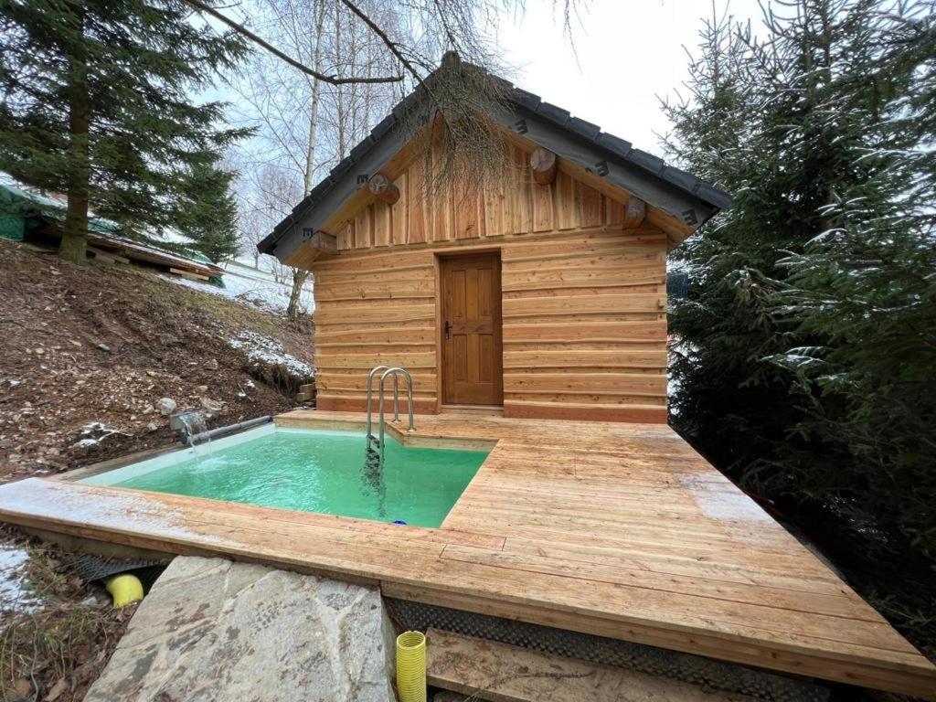 Basen w obiekcie Wooden house in the heart of the Giant Mountains with own hill lub w pobliżu