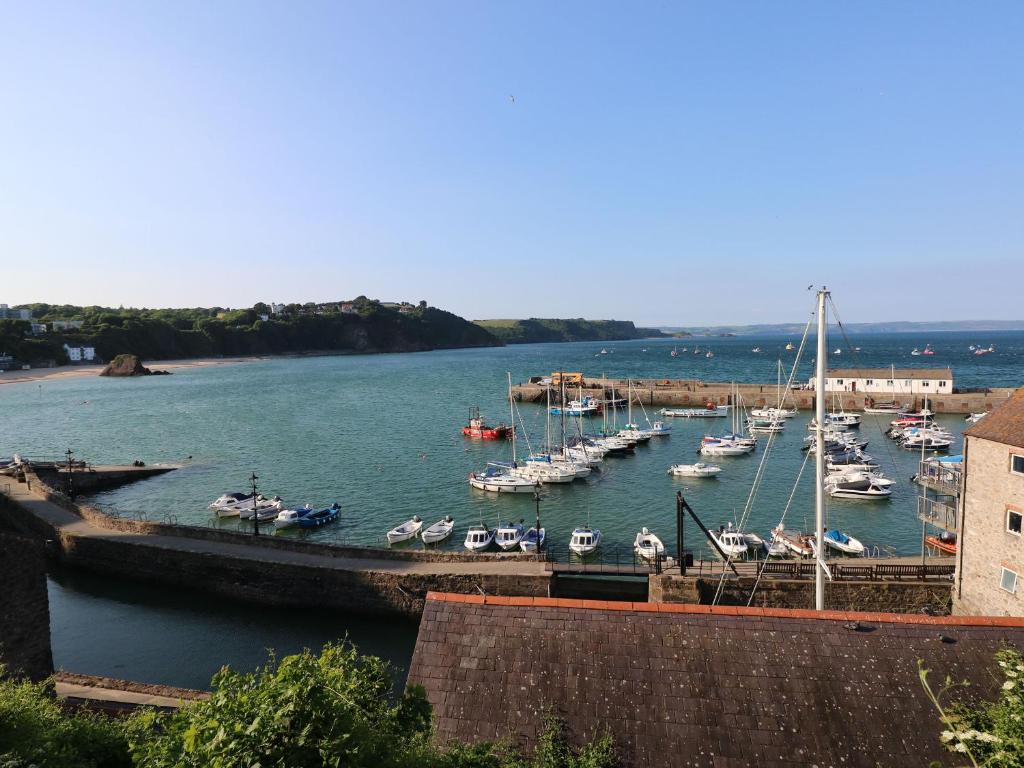a bunch of boats are docked in a harbor at Gower View in Tenby