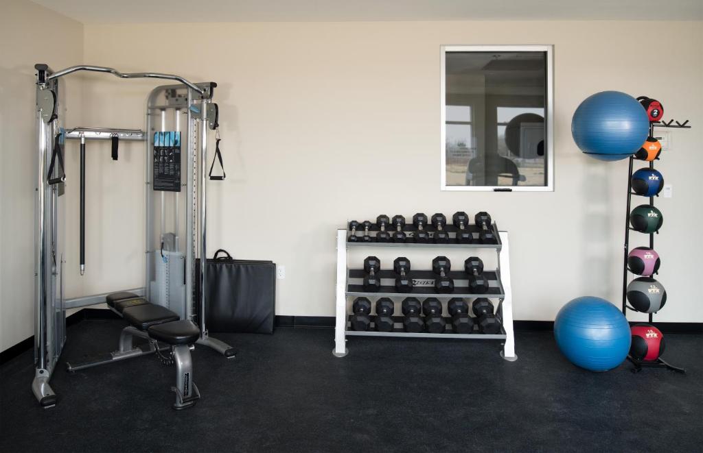 Fitness centrum a/nebo fitness zařízení v ubytování Malana Hotels & Suites