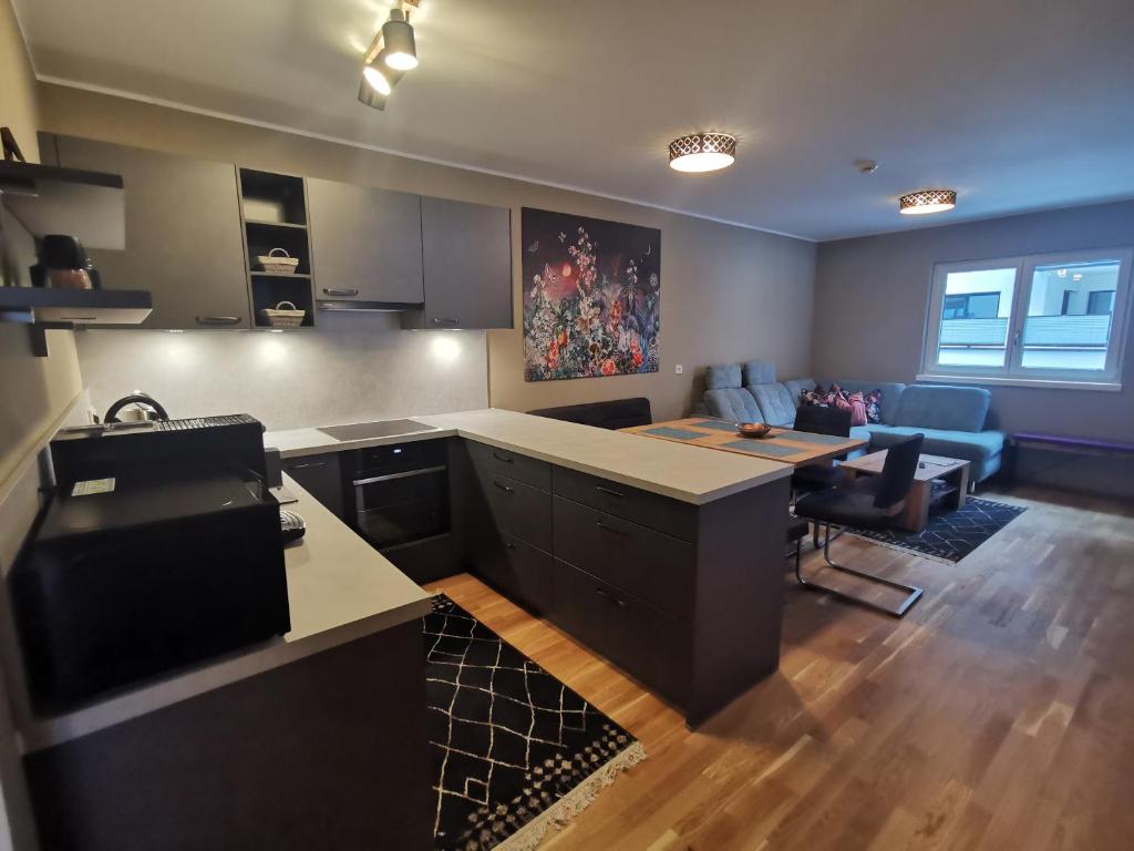 Kuchyň nebo kuchyňský kout v ubytování Sieghards Home