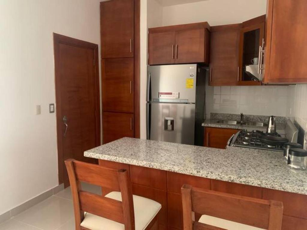 La cuisine est équipée d'un réfrigérateur en acier inoxydable et de placards en bois. dans l'établissement Hermoso Apartamento en Santiago, à Santiago de los Caballeros