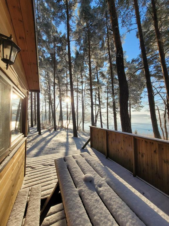 Fotografia z galérie ubytovania Półwysep Lipa v destinácii Wdzydze Tucholskie