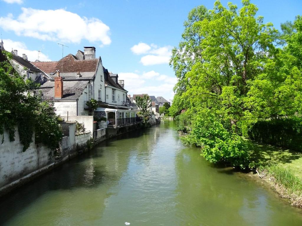 un río en una ciudad con casas y árboles en Maison de 3 chambres avec jardin amenage a Loches, en Loches