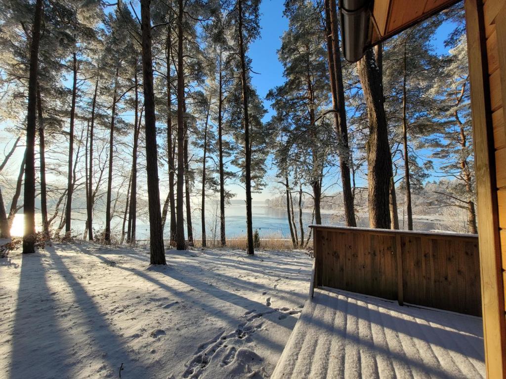 Fotografia z galérie ubytovania Półwysep Lipa v destinácii Wdzydze Tucholskie