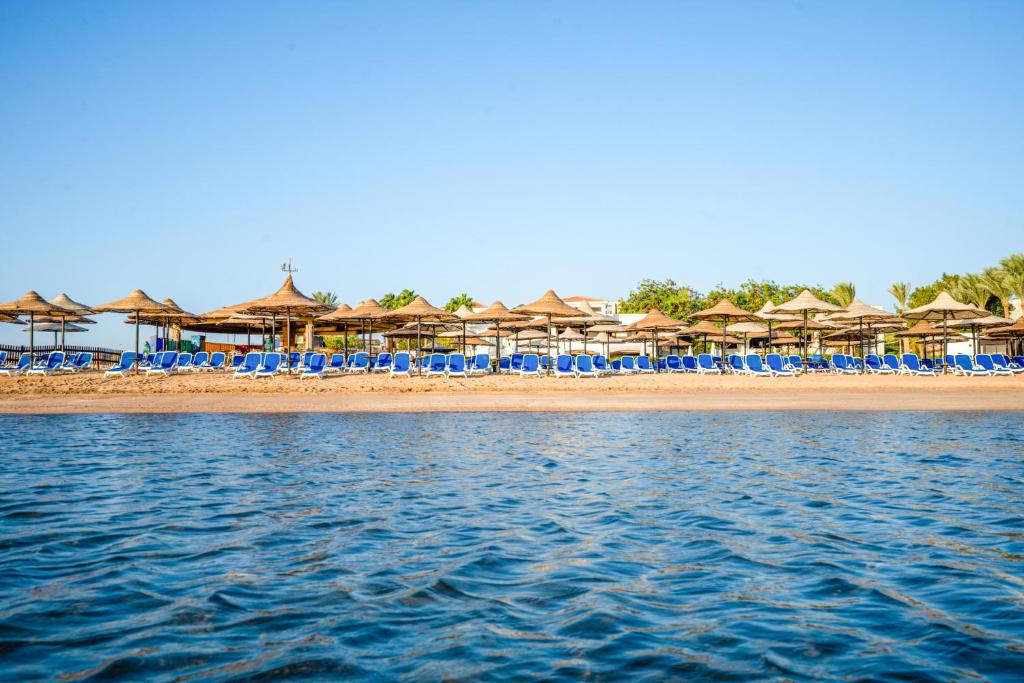 Cyrene Island Aqua Park Resort