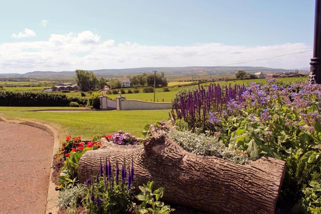 einen Garten mit lila Blumen in einem Korb in der Unterkunft Carnalbanagh House in Portstewart