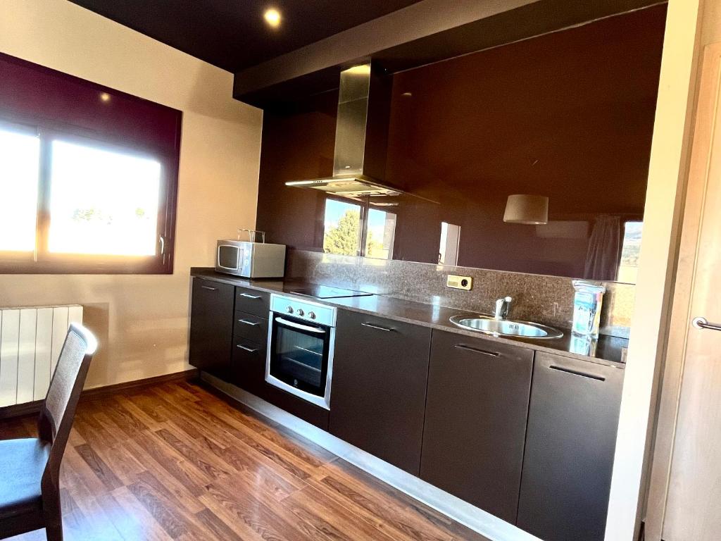Kuchyňa alebo kuchynka v ubytovaní Can Morera Apartaments a Les Preses
