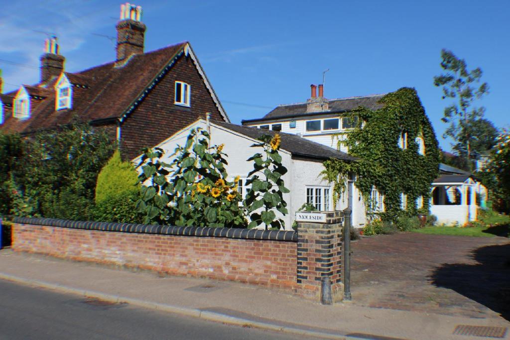 a house with a brick retaining wall and a tree at Moleside Cottage in Marden
