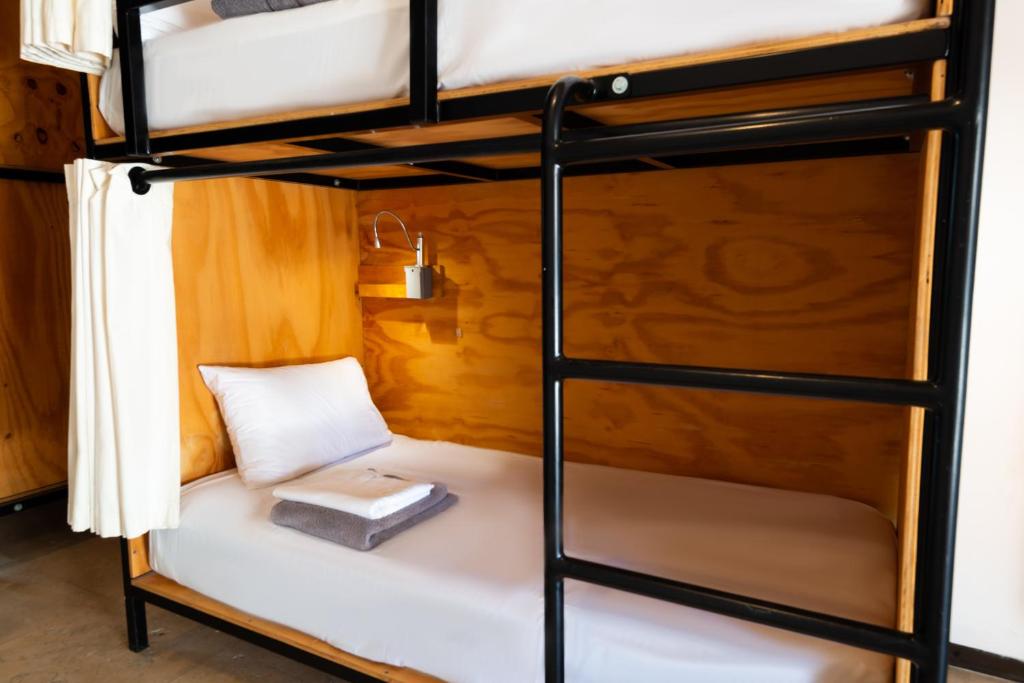 Кровать или кровати в номере Mayan Monkey Los Cabos - Social Hotel