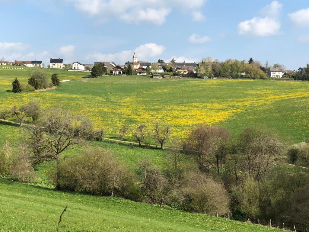 un grand champ vert avec des fleurs jaunes sur lui dans l'établissement Ferienwohnung Westwind, à Schüller