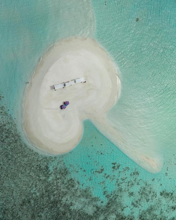Fotografie z fotogalerie ubytování Ocean Lilly Inn v destinaci Hangnaameedhoo