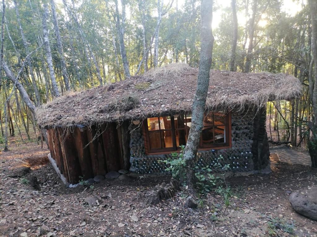 una pequeña cabaña con techo de hierba en el bosque en Cabaña Amor de los Tronquitos, Camino Villarrica en Villarrica