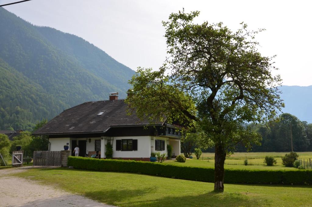 ein kleines weißes Haus mit einem Baum im Hof in der Unterkunft Seehof Royer in Obertraun