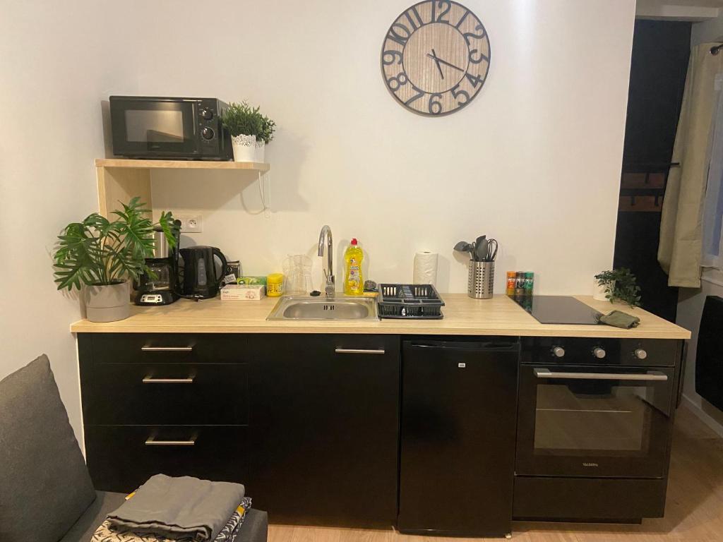 Kuchyňa alebo kuchynka v ubytovaní Studio entièrement refait a neuf - 170