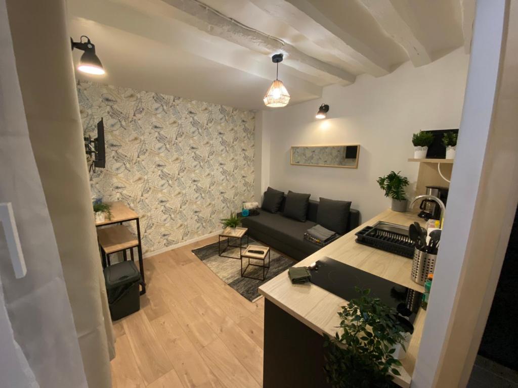 salon z kanapą i stołem w obiekcie Studio entièrement refait a neuf - 170 w Rouen