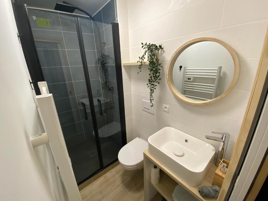 a bathroom with a toilet and a sink and a mirror at Studio entièrement refait a neuf - 170 in Rouen