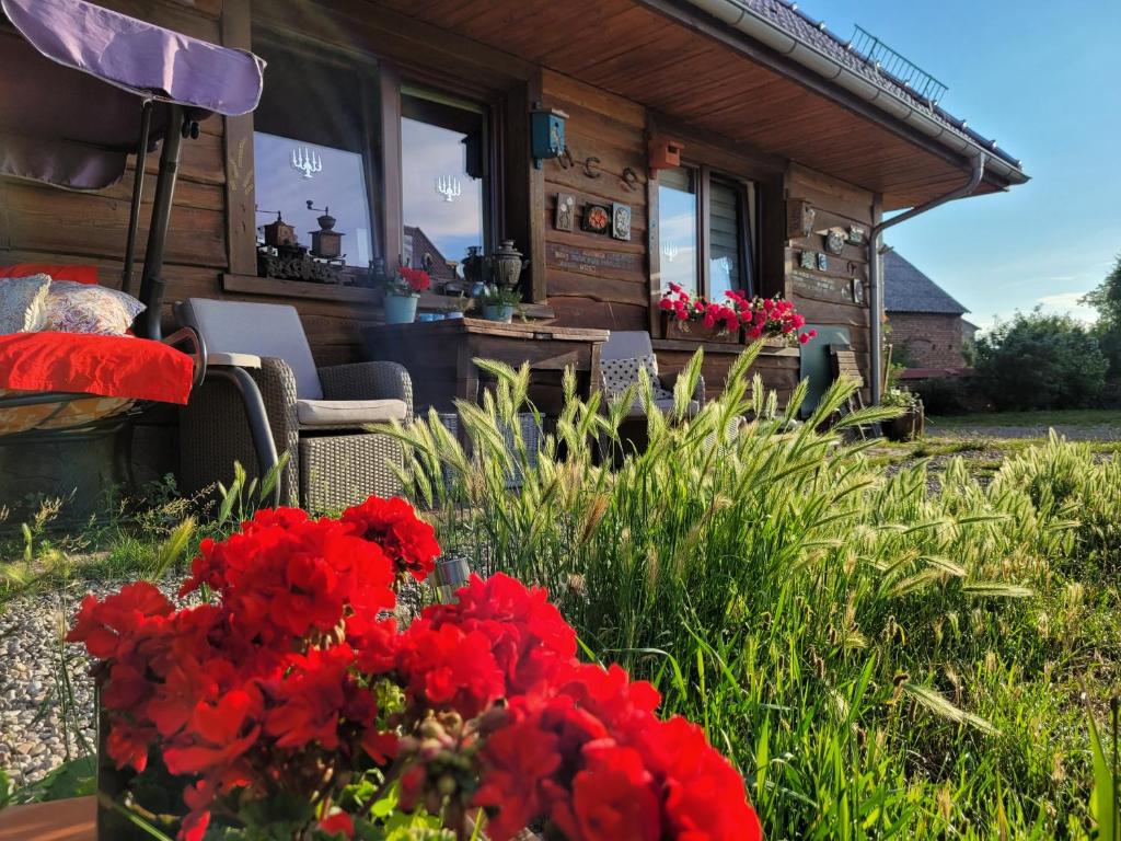 un jarrón de flores rojas delante de una cabaña en DOM GOŚCINNY PTASZARNIA - Ekologia - Natura - Rewilding, en Świnoujście