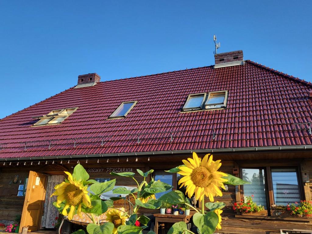 DOM GOŚCINNY PTASZARNIA - NATURA-Free PARKING