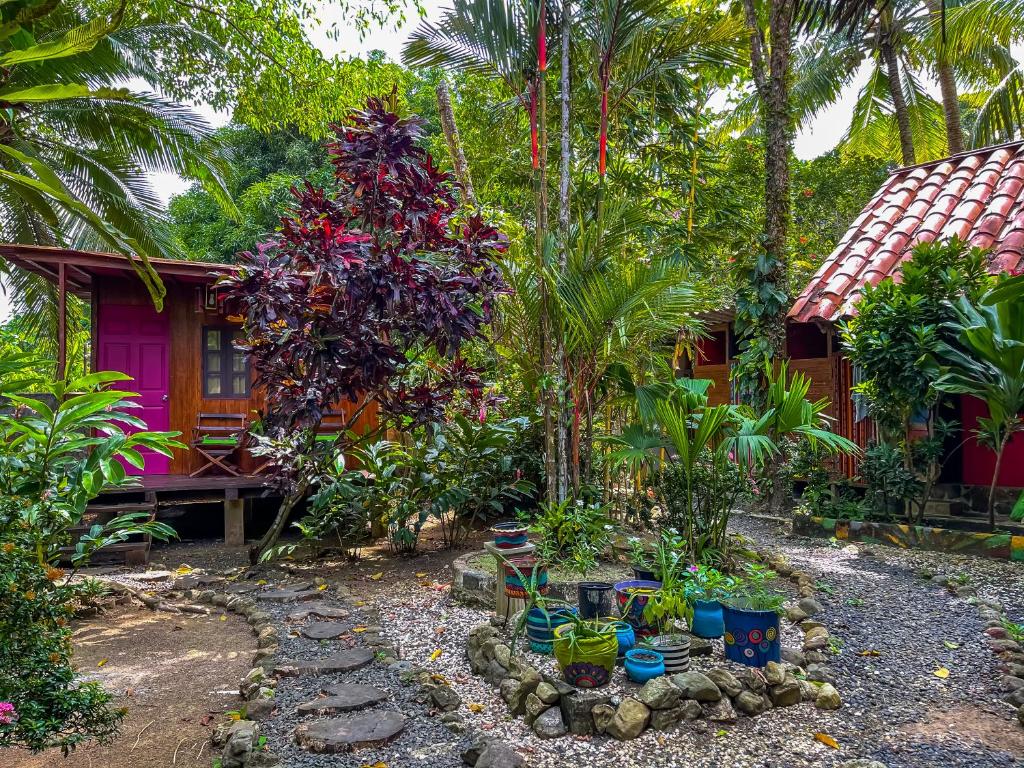 Un jardín fuera de Macondo Hostel
